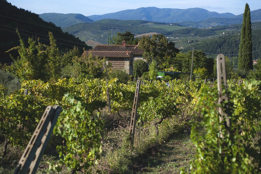 Country Room Il Moro Rignano Sull Arno Bagian luar foto