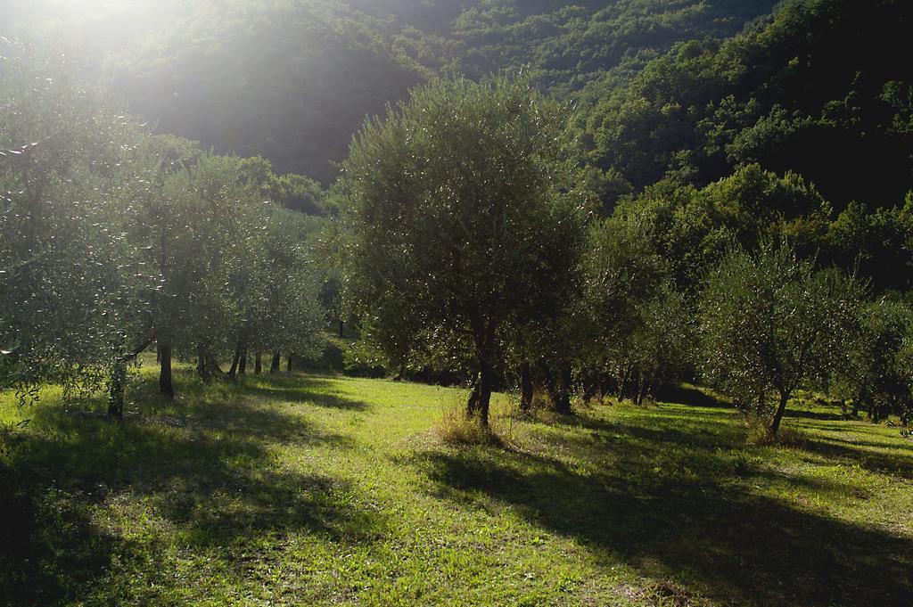 Country Room Il Moro Rignano Sull Arno Bagian luar foto