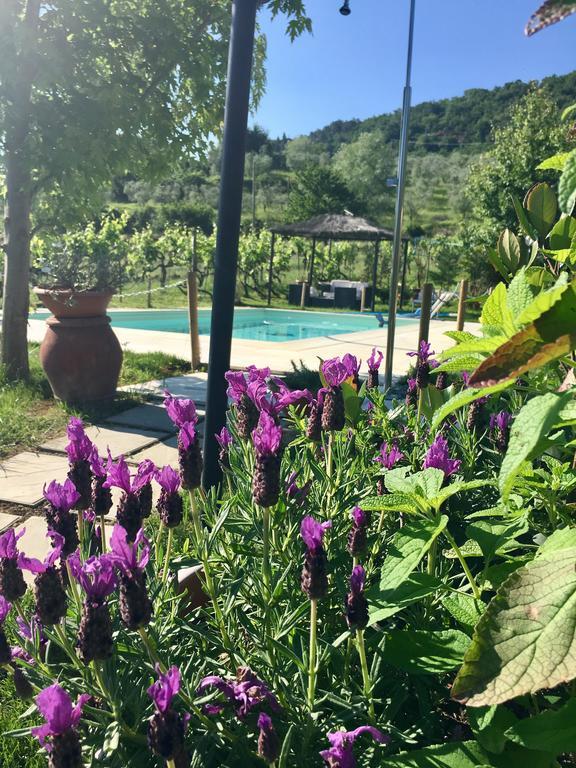 Country Room Il Moro Rignano Sull Arno Bagian luar foto